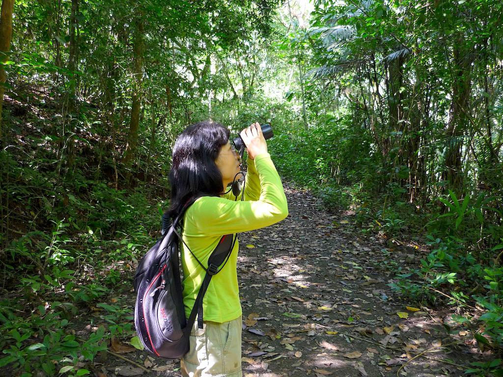 Gamboa Rainforest Reserve Exteriér fotografie